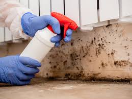 Best Mold Remediation for Vacation Homes  in Clayton, NM